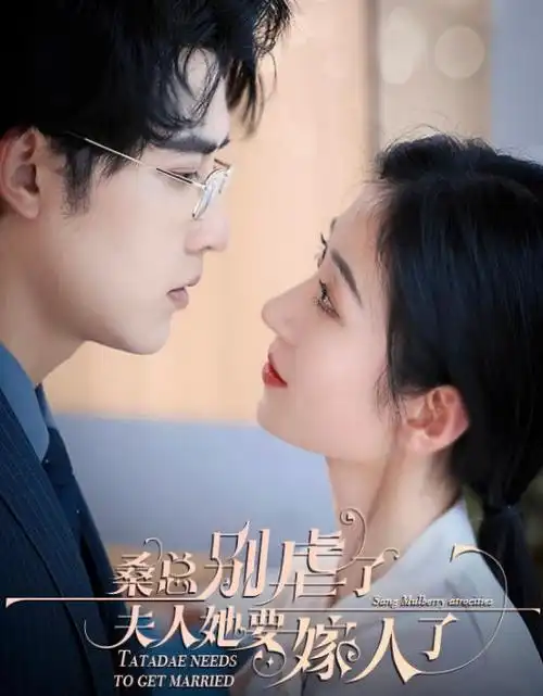 无名之辈2025 热播电视剧全集手机免费在线观看